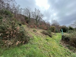 Photo 44- click for photo gallery